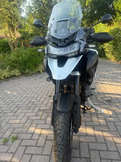 Triumph Tiger 1200 GT Pro (2024 - 26) usata
