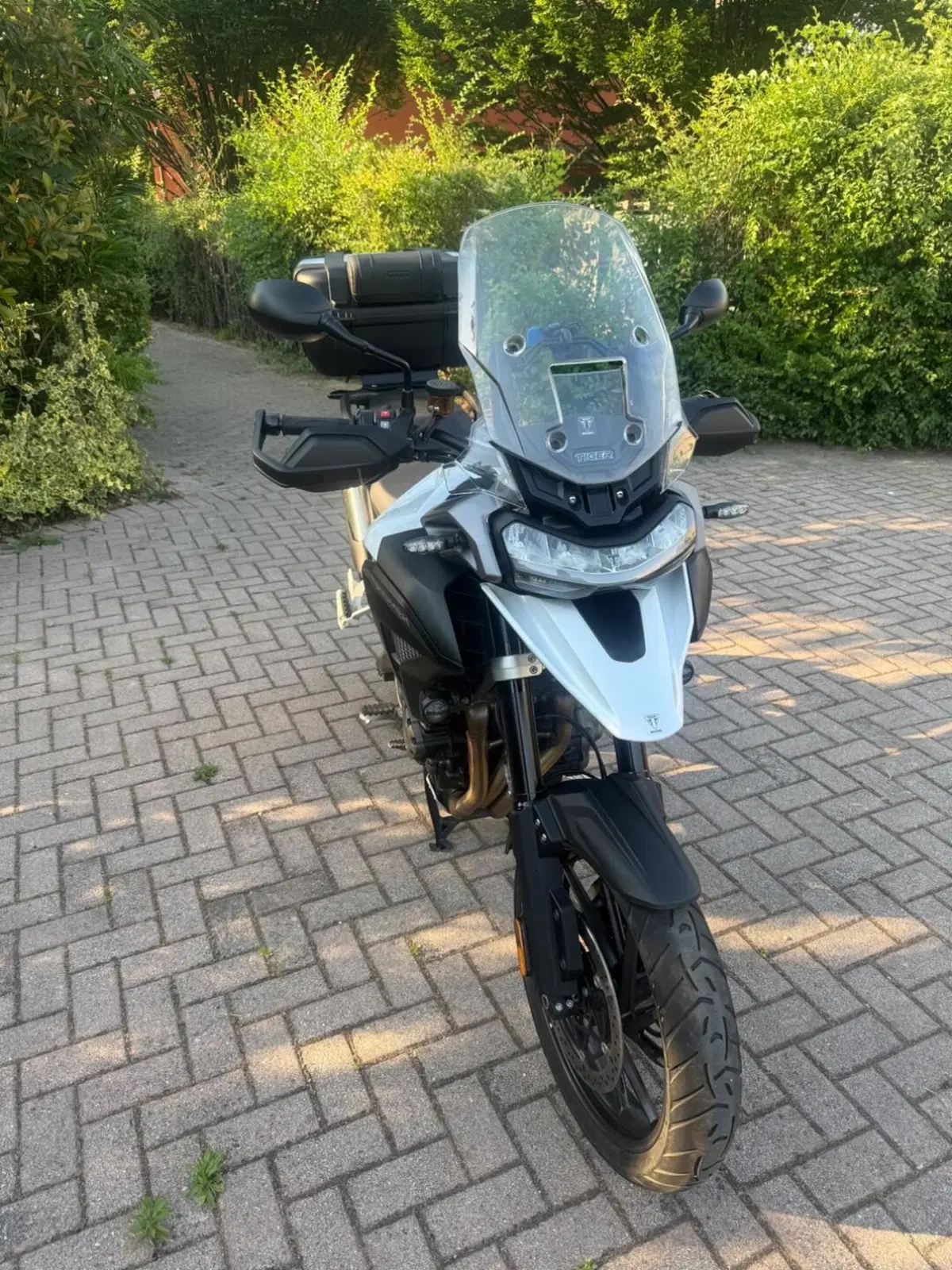 Triumph Tiger 1200 GT Pro (2024 - 26) (2)