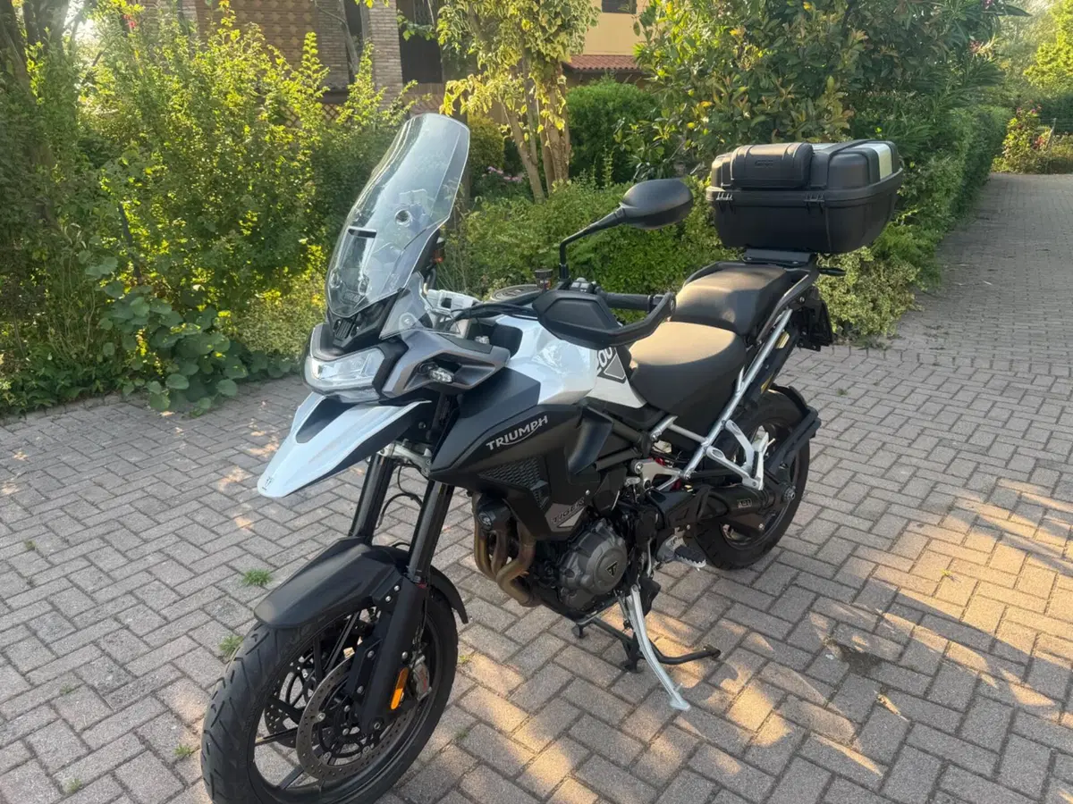 Triumph Tiger 1200 GT Pro (2024 - 26) (3)