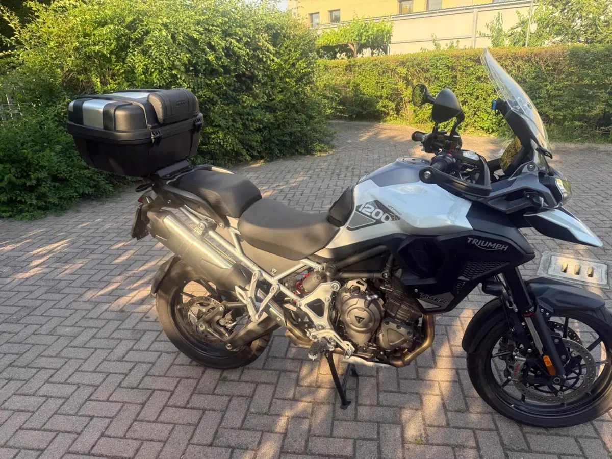 Triumph Tiger 1200 GT Pro (2024 - 26) (4)