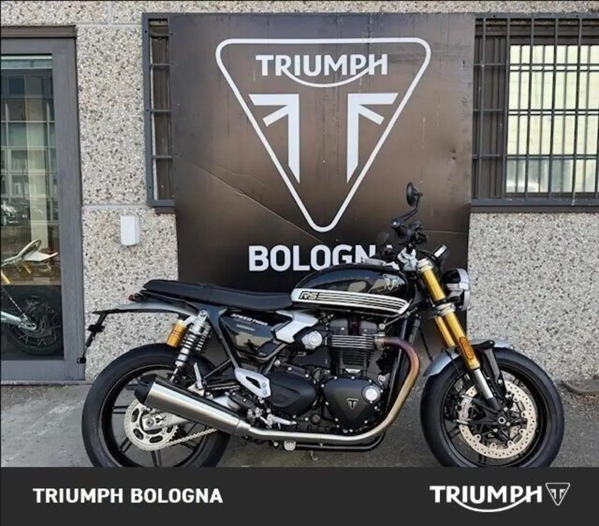Triumph Speed Twin 1200 RS (2025 - 26) (6)