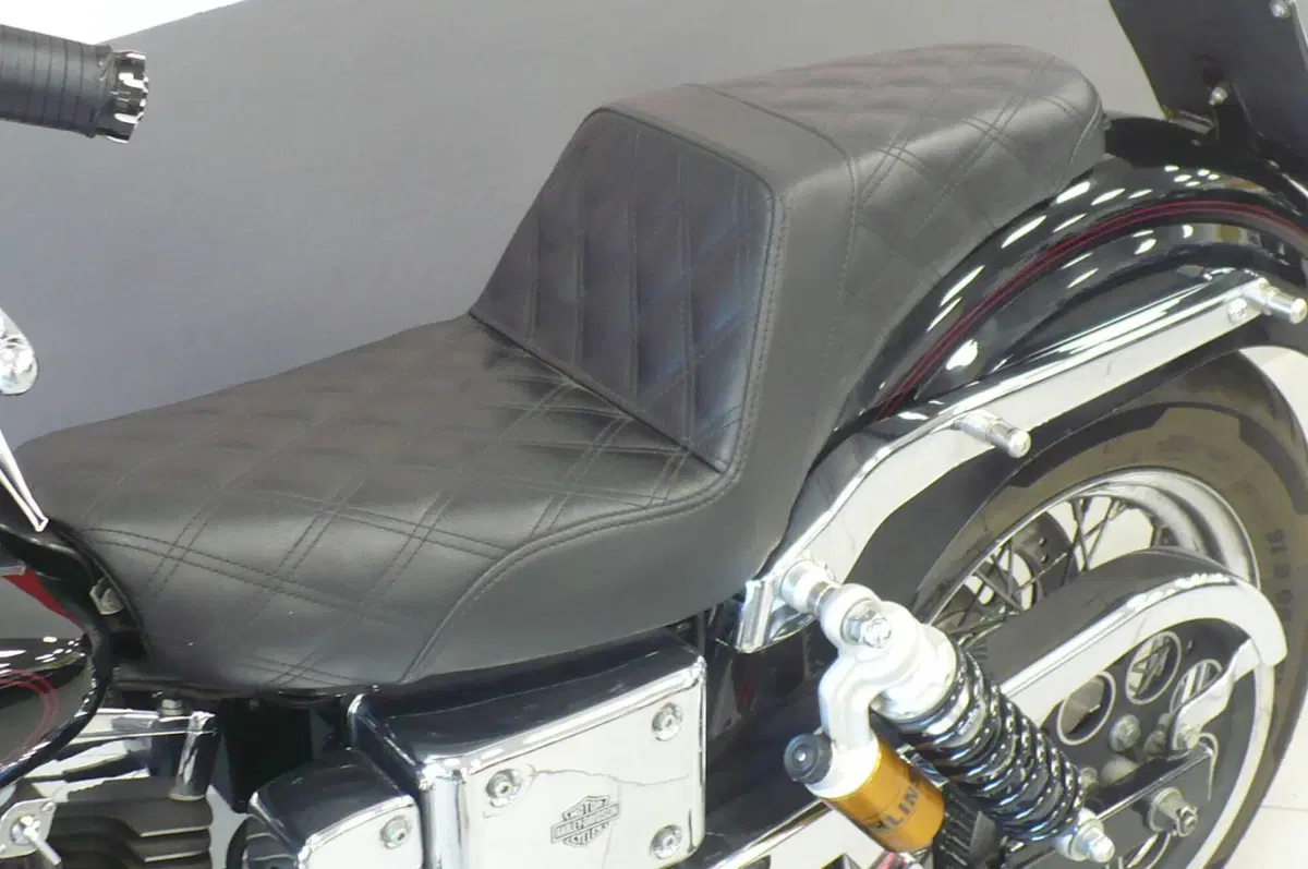 Harley-Davidson 1450 Low Rider (1999 - 03) - FXDL (11)
