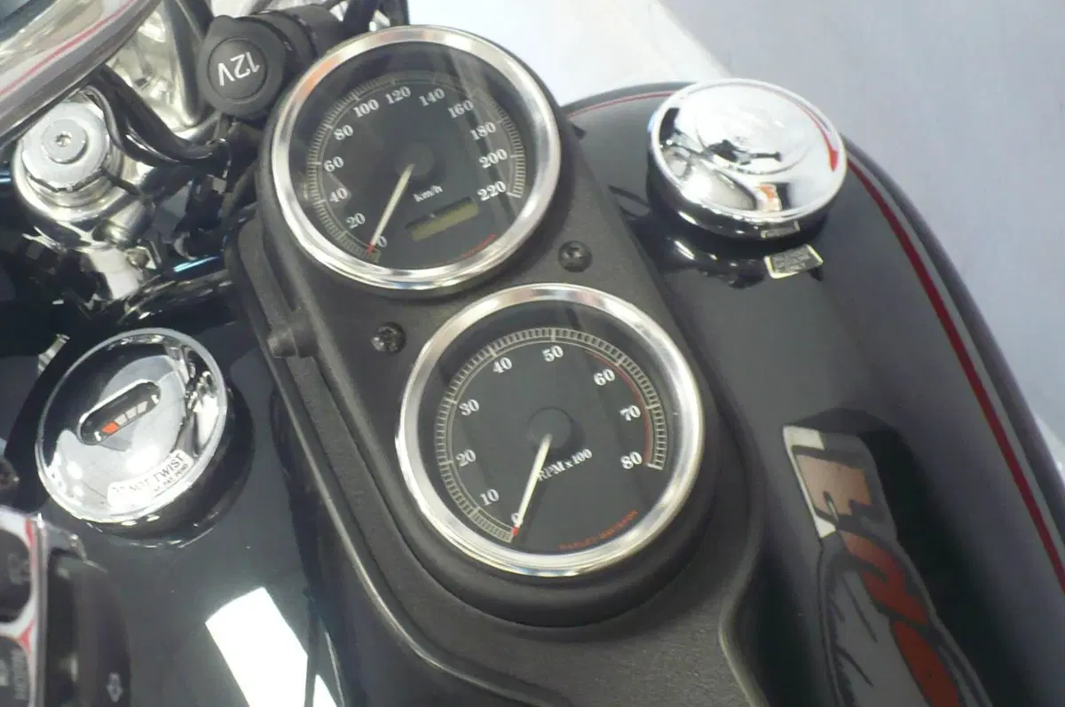 Harley-Davidson 1450 Low Rider (1999 - 03) - FXDL (12)