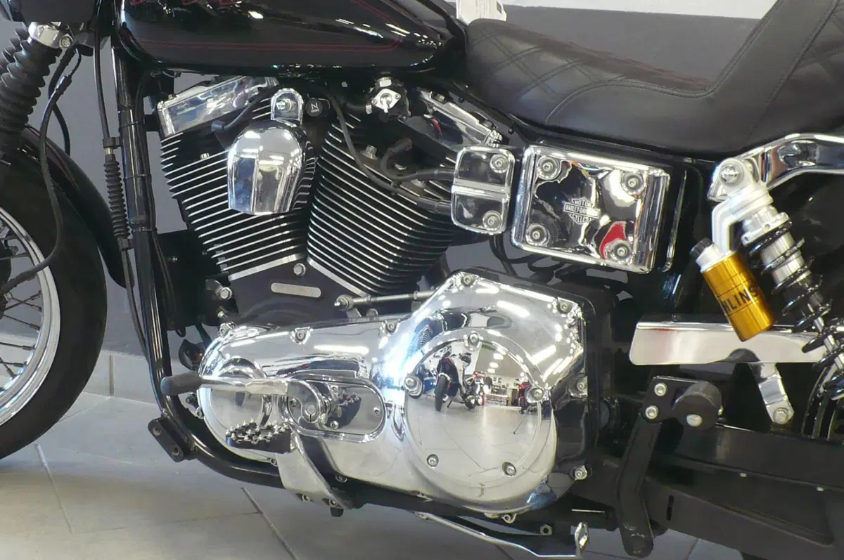 Harley-Davidson 1450 Low Rider (1999 - 03) - FXDL (10)