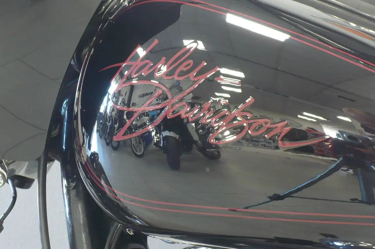 Harley-Davidson 1450 Low Rider (1999 - 03) - FXDL (6)