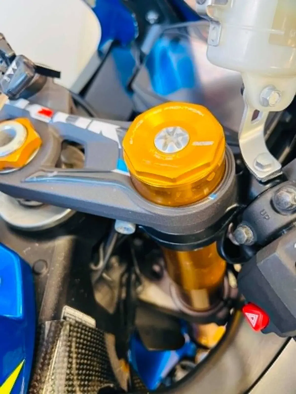 Suzuki GSX-R1000 (2019 - 20) (9)