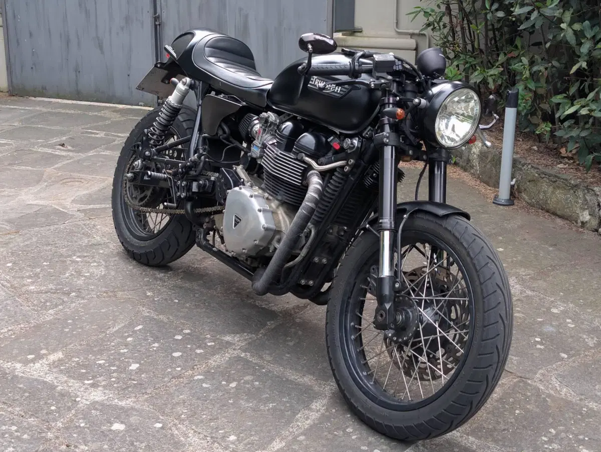 Triumph Thruxton 900 (2004 - 15)