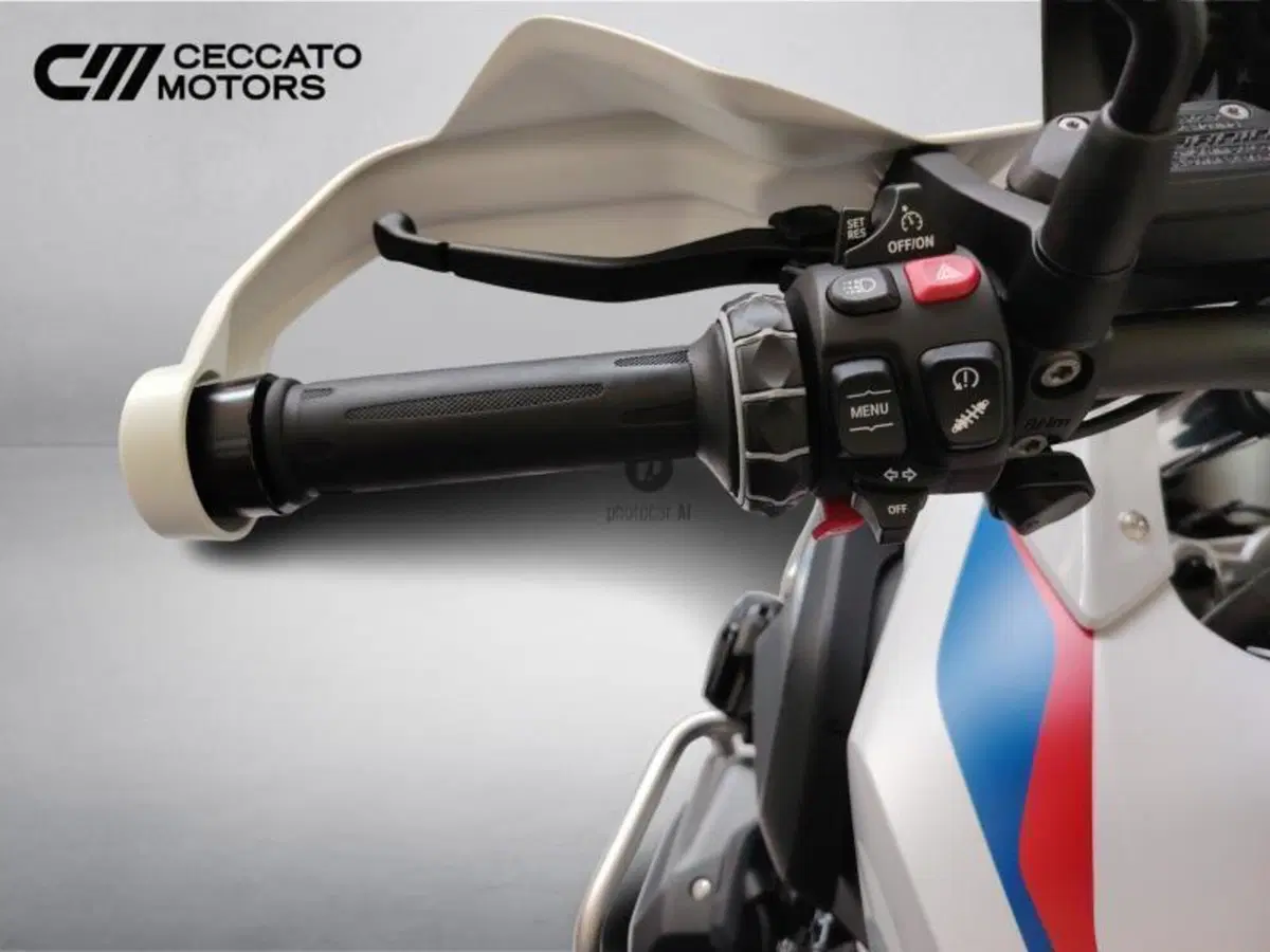 Bmw R 1250 GS (2021 - 24) (12)