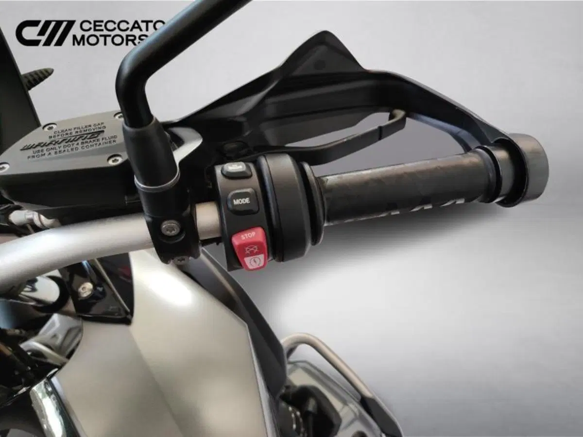 Bmw R 1200 GS (2017 - 18) (11)