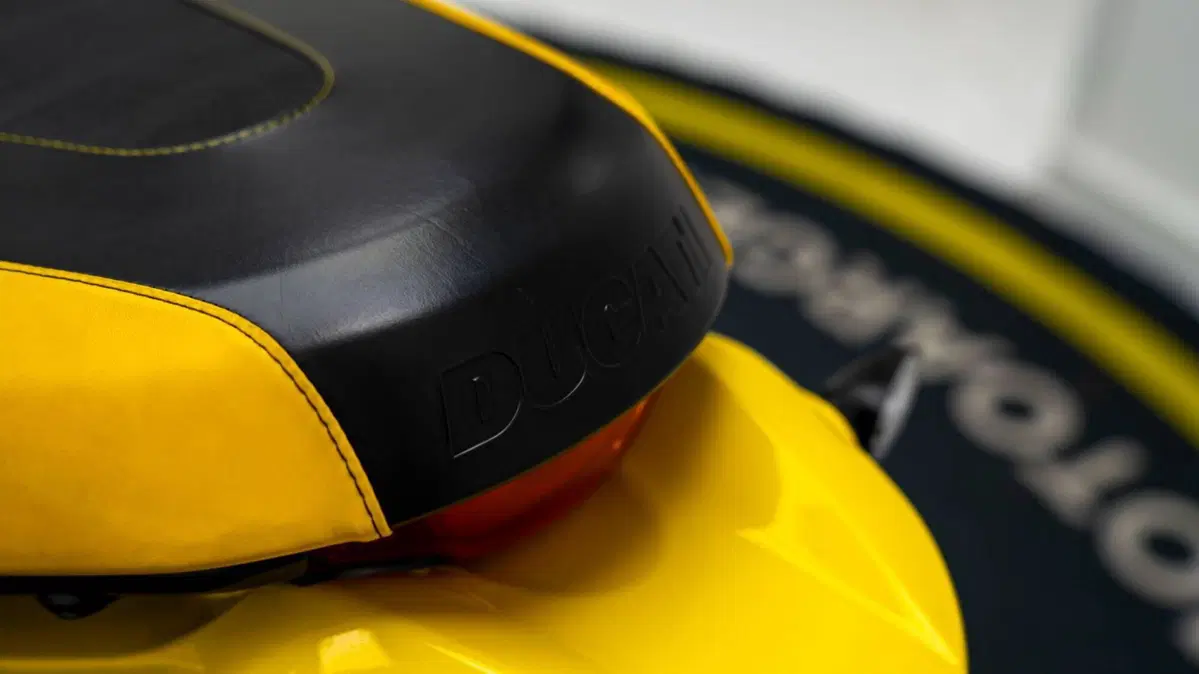 Ducati Scrambler 800 Icon (2021 - 22) (14)