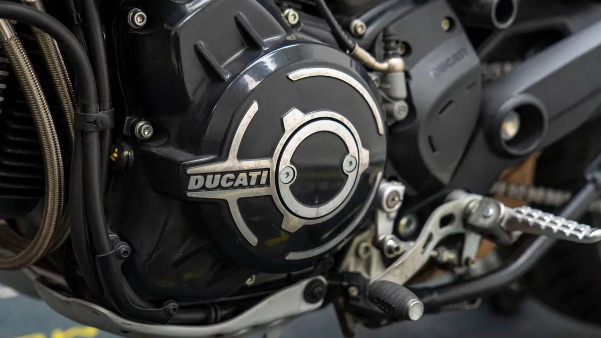 Ducati Scrambler 800 Icon (2021 - 22) (16)
