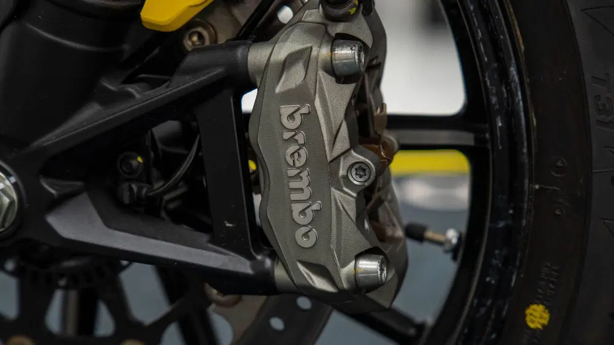 Ducati Scrambler 800 Icon (2021 - 22) (17)