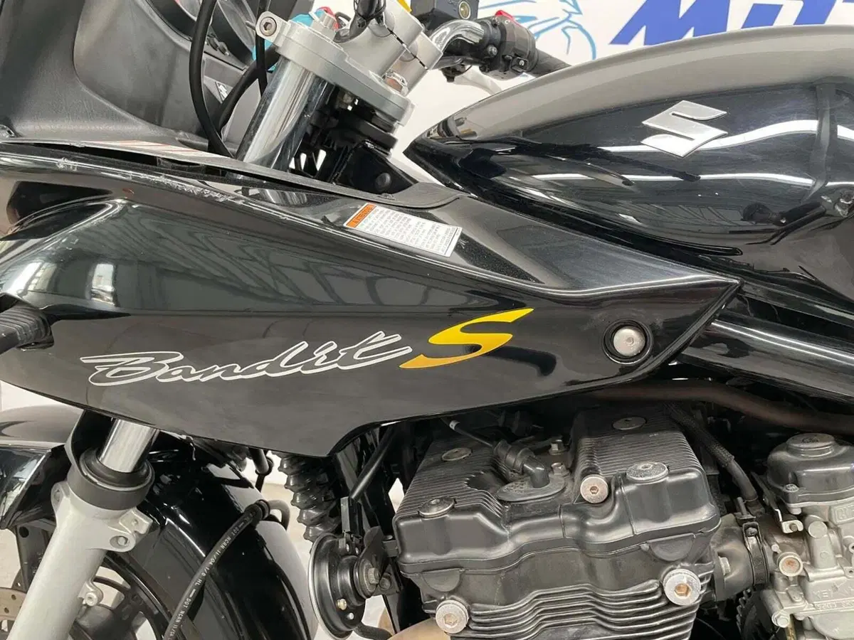Suzuki GSF 650 Bandit S (2005 - 06) (3)