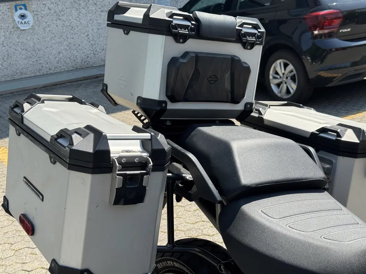 Harley-Davidson Pan America 1250 Special (2020 - 25) (2)