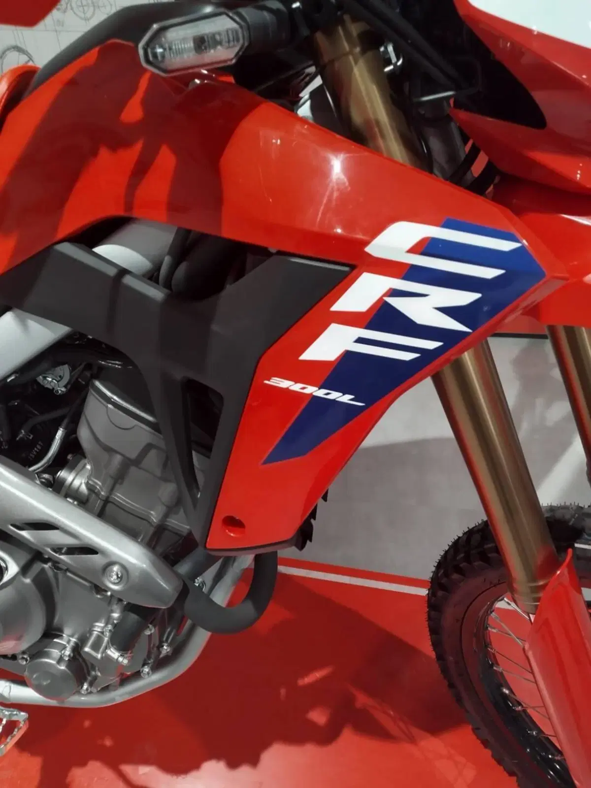 Honda CRF 300L (2025 - 26) (10)