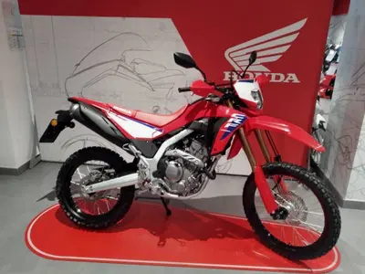 Honda CRF 300L (2025 - 26) nuova