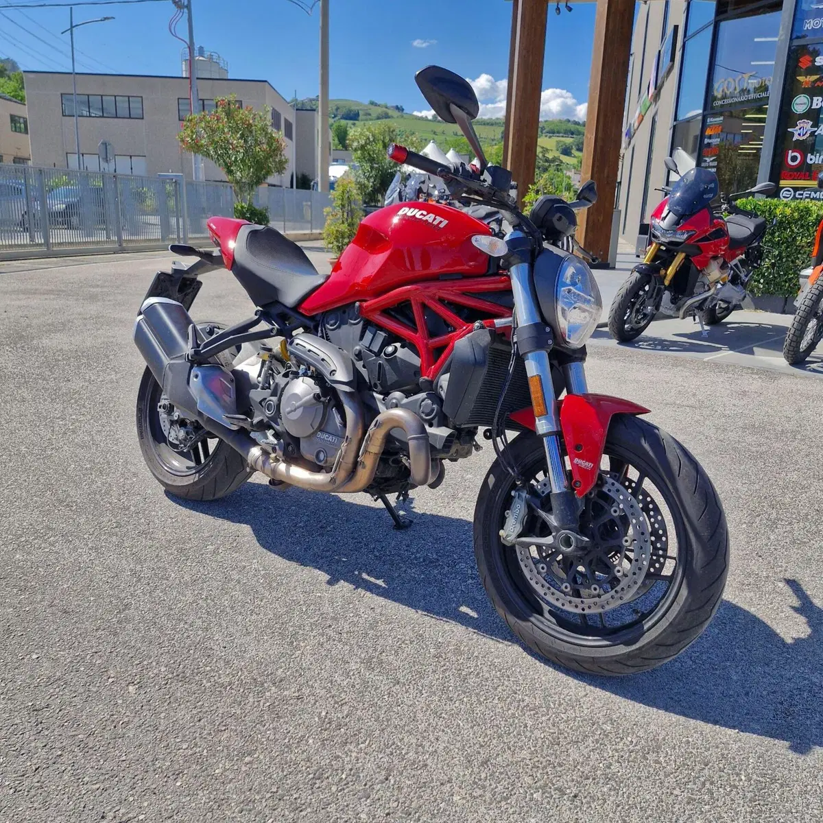 Ducati Monster 821 (2018 - 20) (15)