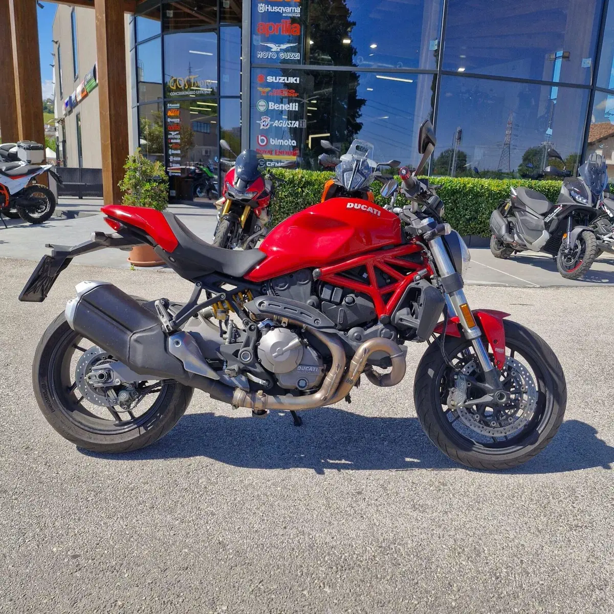Ducati Monster 821 (2018 - 20) (17)
