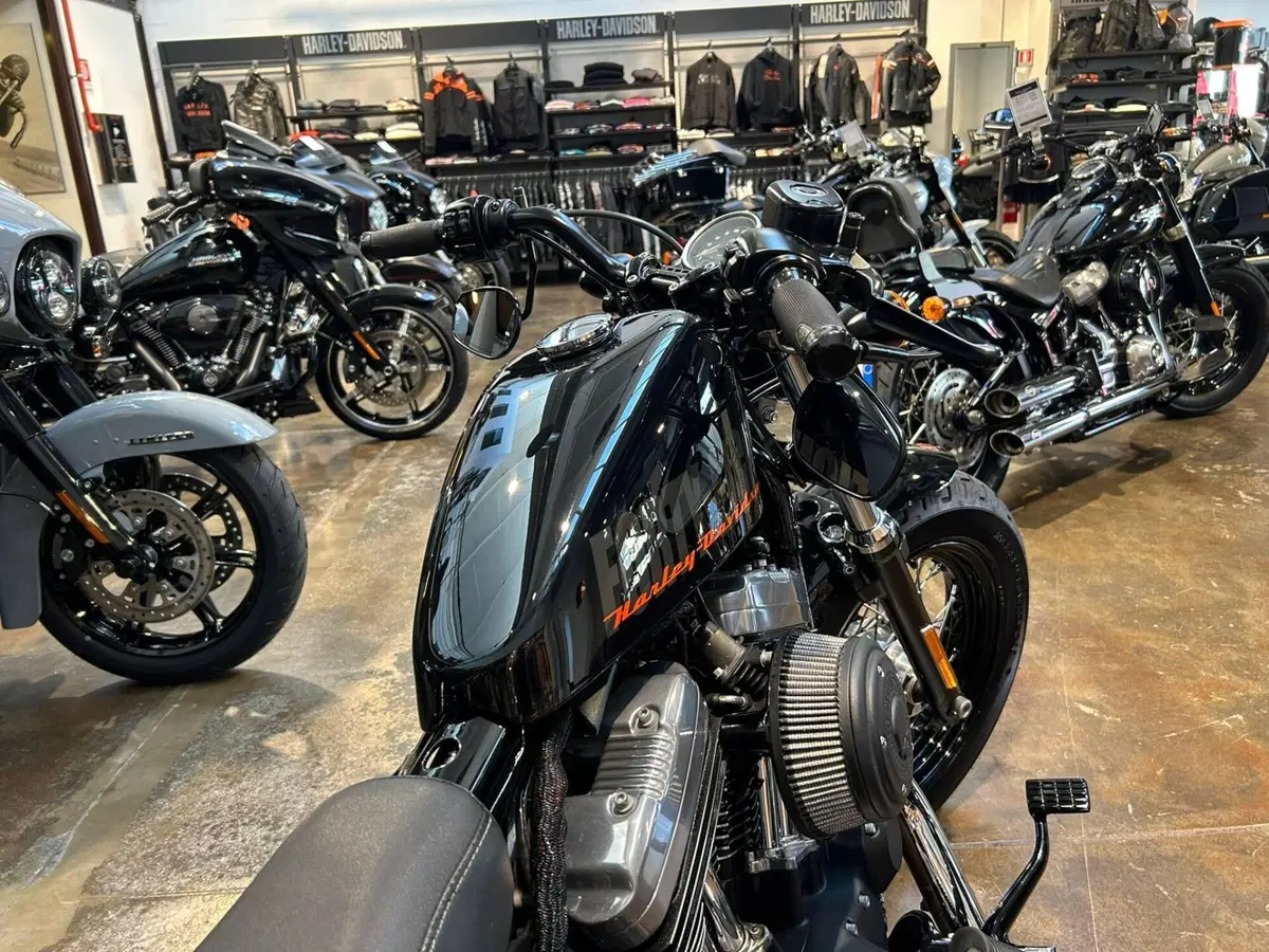 Harley-Davidson 1200 Forty-Eight (2010 - 15) (2)