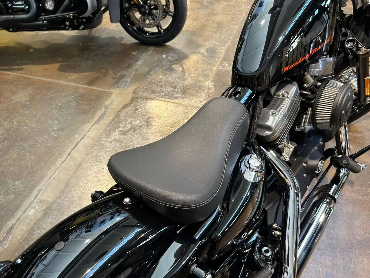 Harley-Davidson 1200 Forty-Eight (2010 - 15) (3)