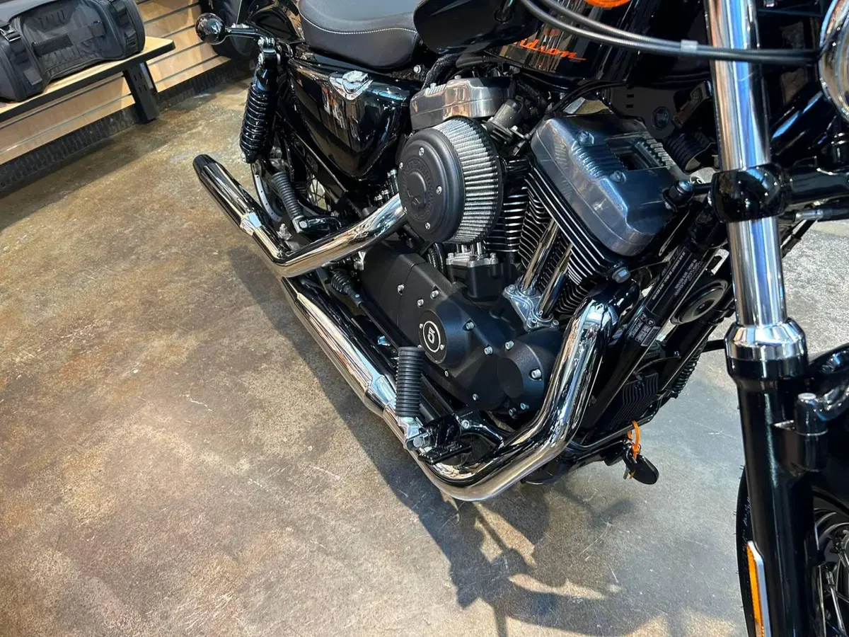Harley-Davidson 1200 Forty-Eight (2010 - 15) (4)