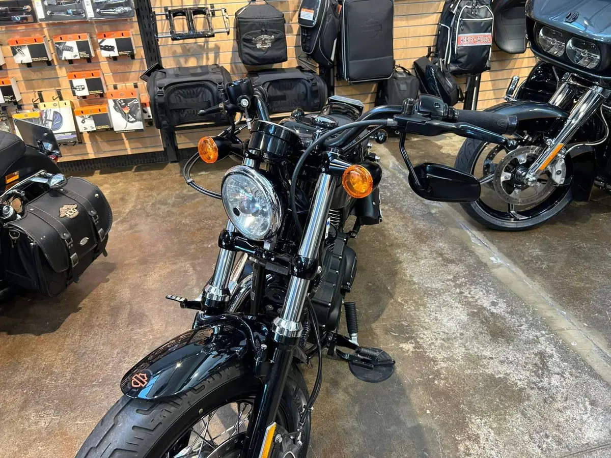 Harley-Davidson 1200 Forty-Eight (2010 - 15) (5)