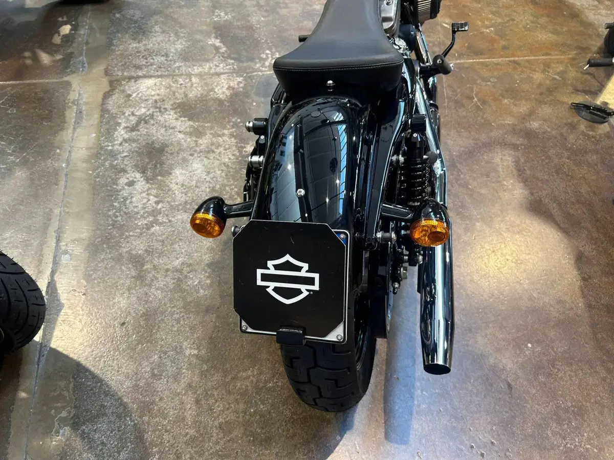 Harley-Davidson 1200 Forty-Eight (2010 - 15) (6)