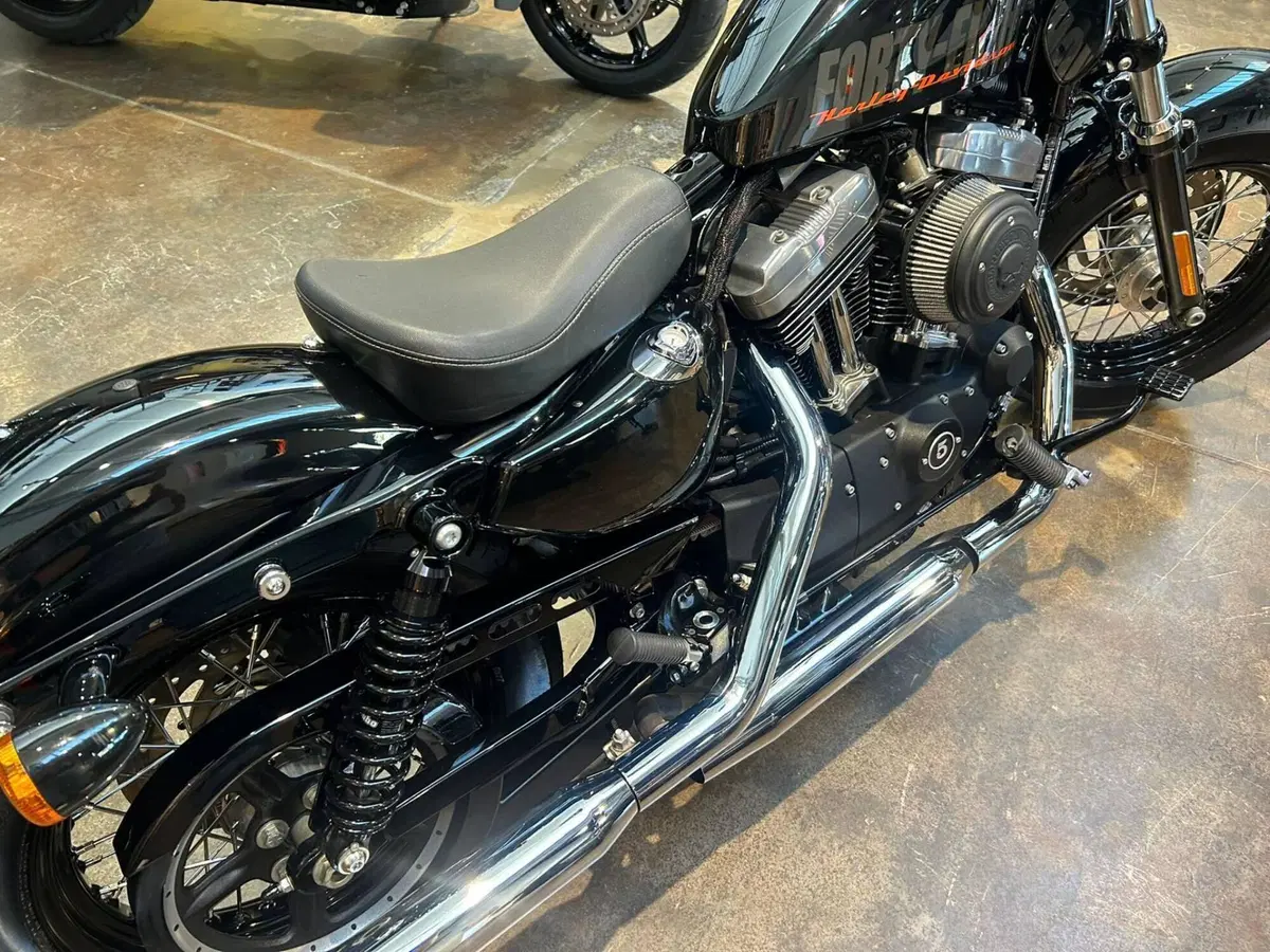 Harley-Davidson 1200 Forty-Eight (2010 - 15) (7)