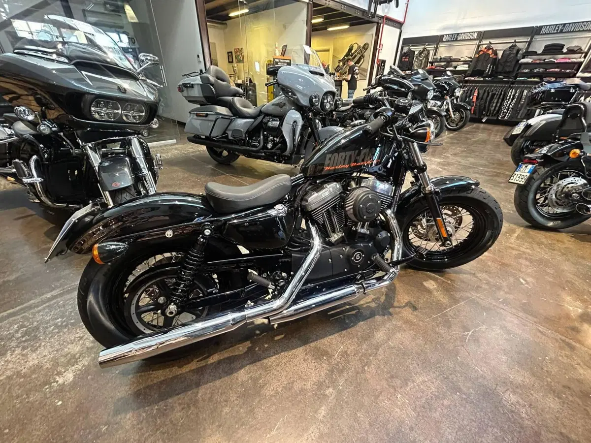 Harley-Davidson 1200 Forty-Eight (2010 - 15) (9)