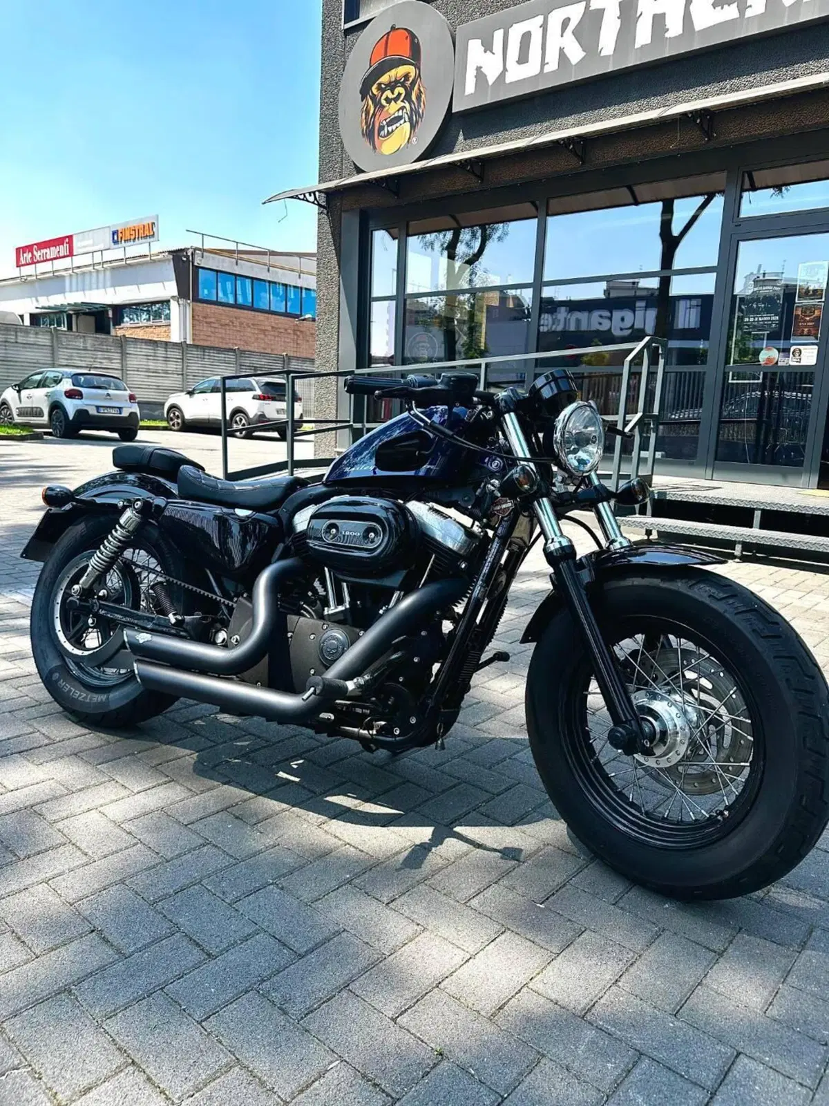 Harley-Davidson 1200 Forty-Eight (2010 - 15) (5)