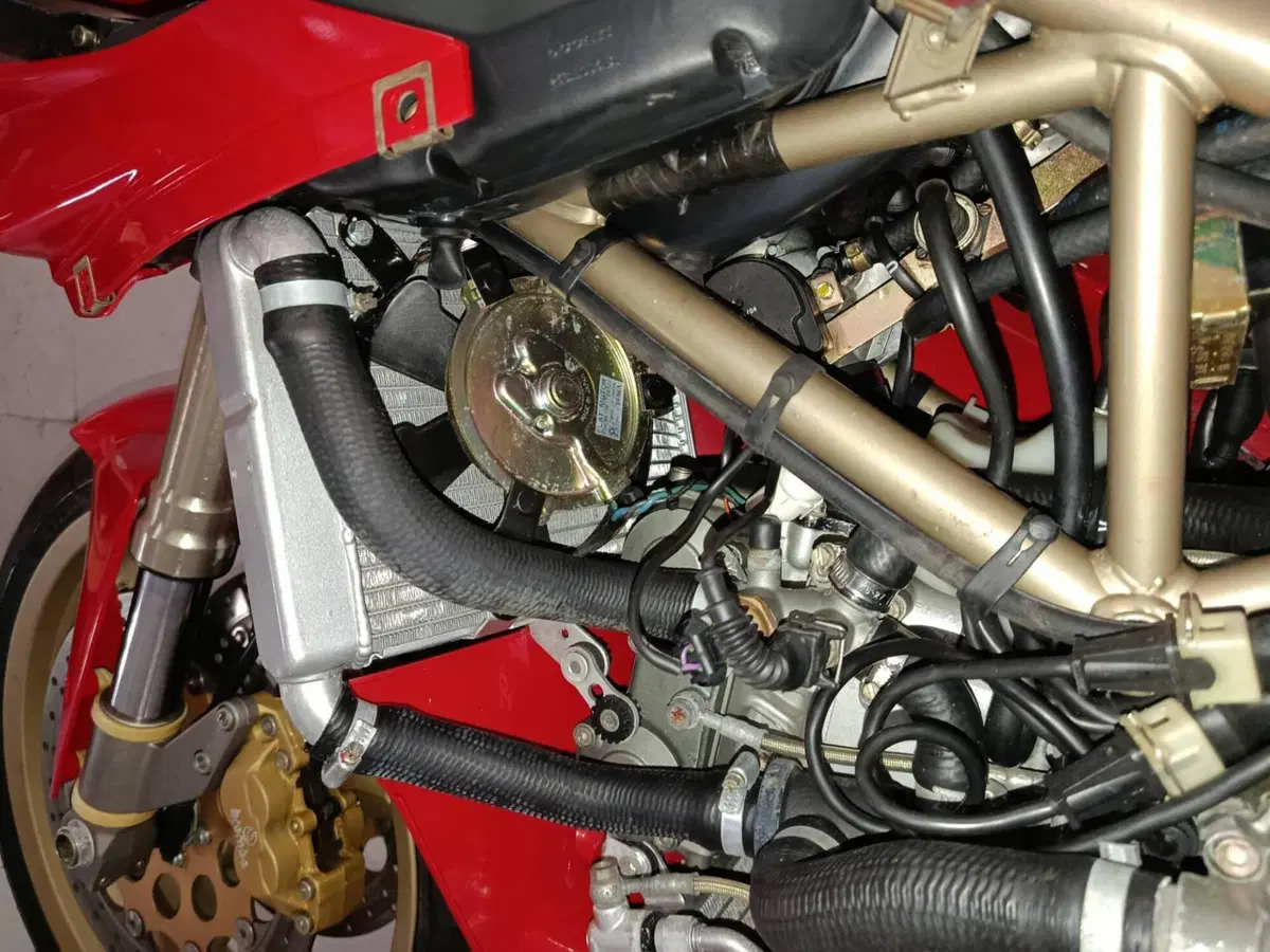 Ducati 916 SP Monoposto (1994 - 96) (9)