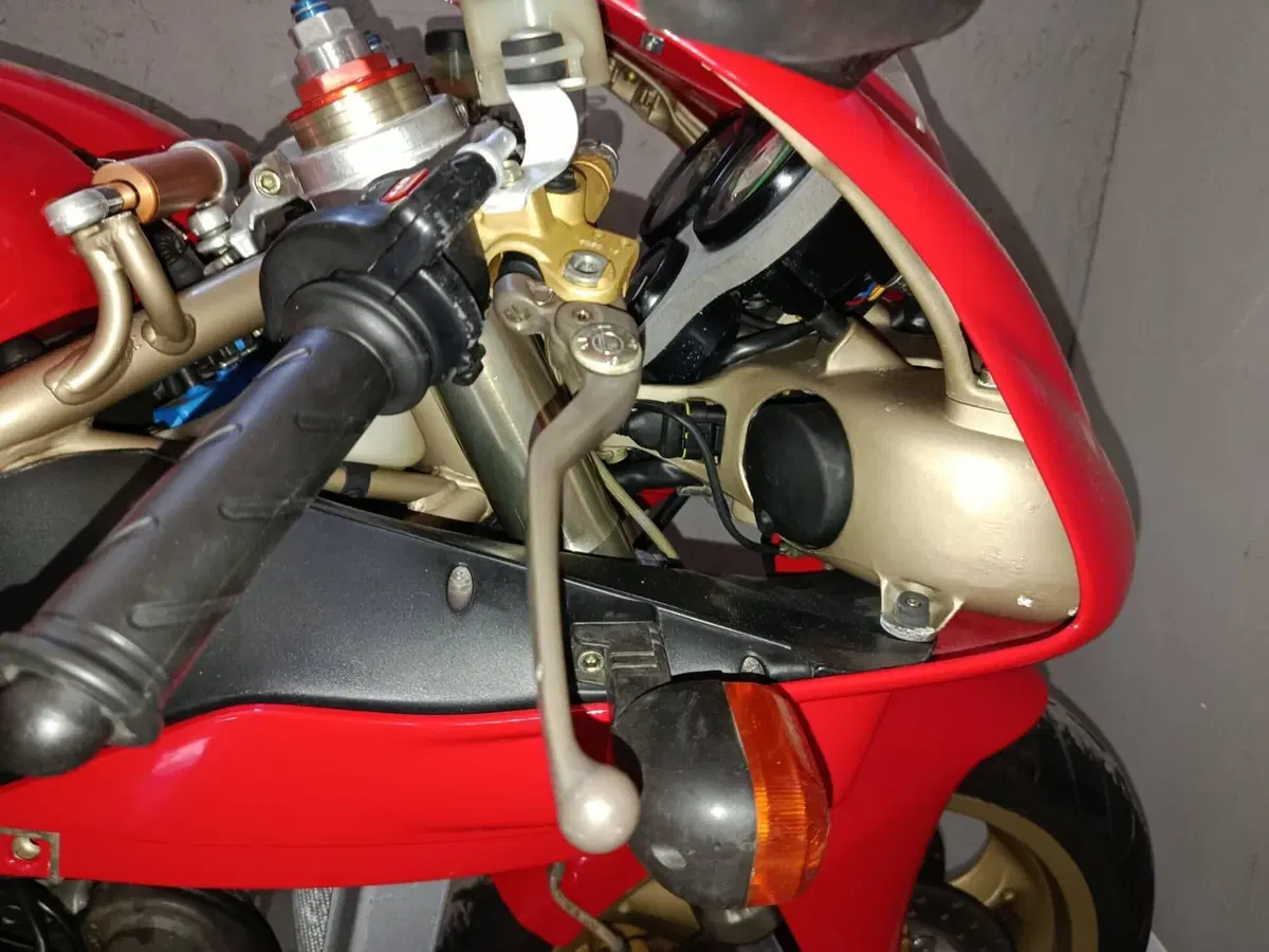 Ducati 916 SP Monoposto (1994 - 96) (19)