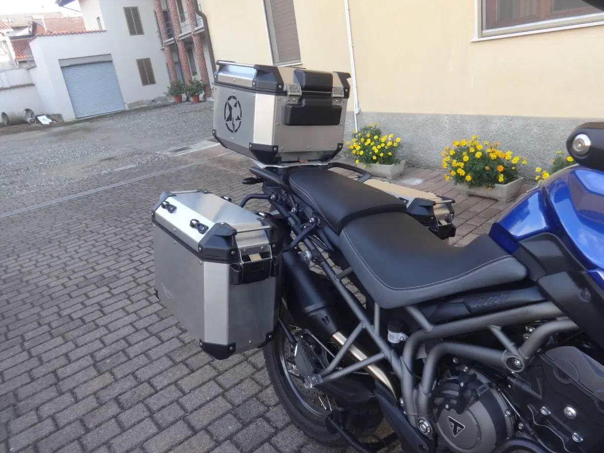 Triumph Tiger 800 XCa (2018 - 20) (16)