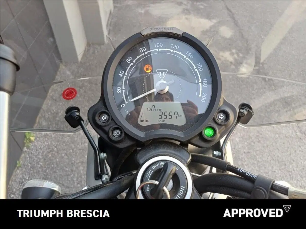 Triumph Speed Twin 900 (2023 - 24) (10)