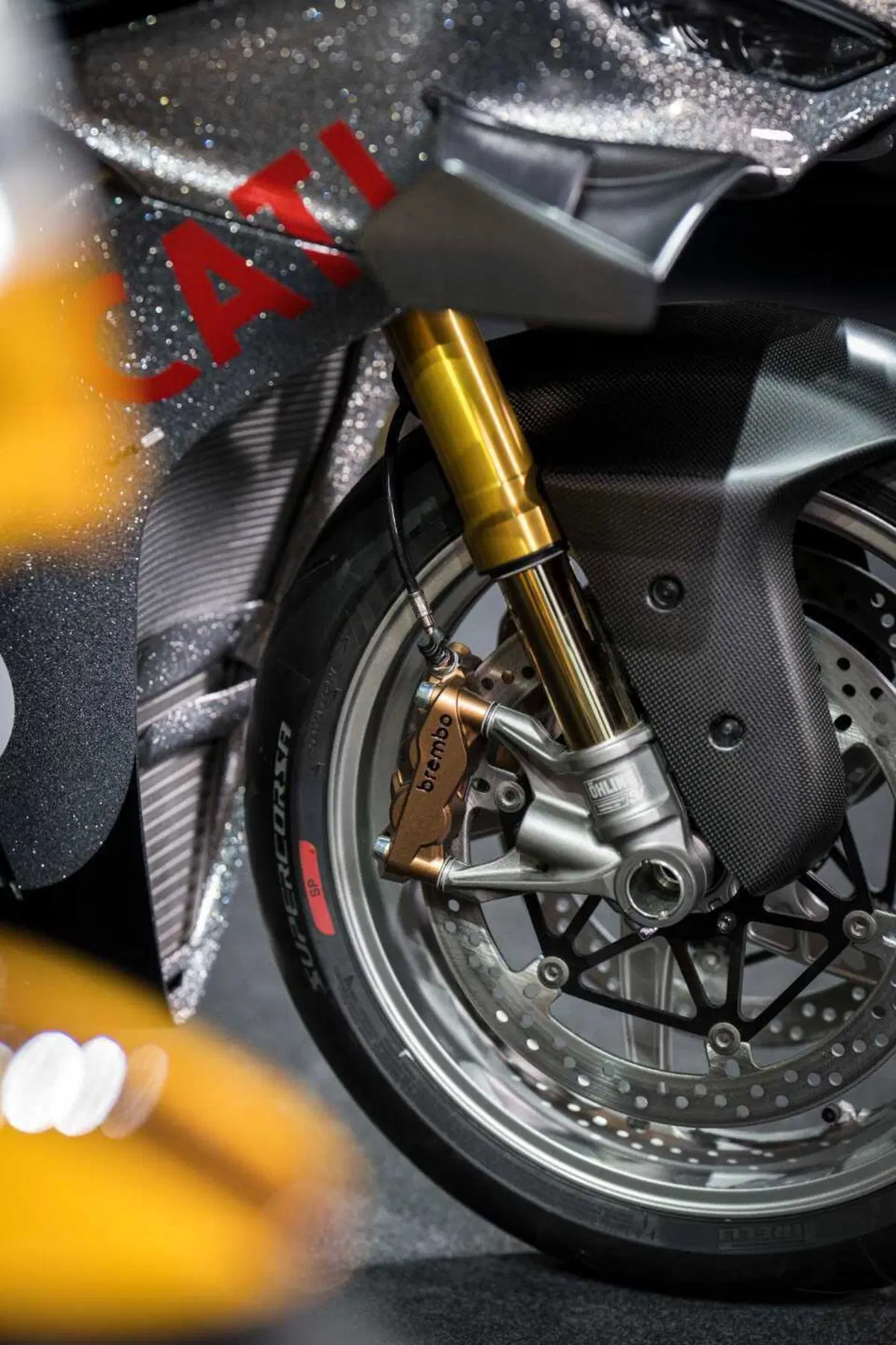 Panigale V4 S 100