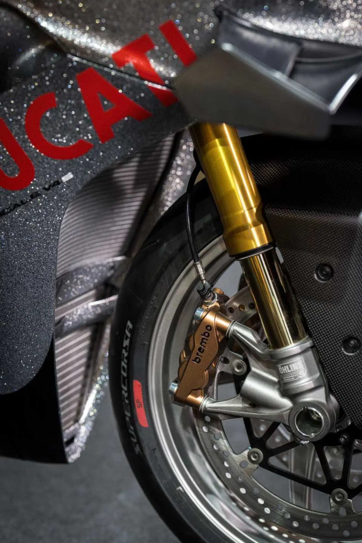 Panigale V4 S 100 (2)