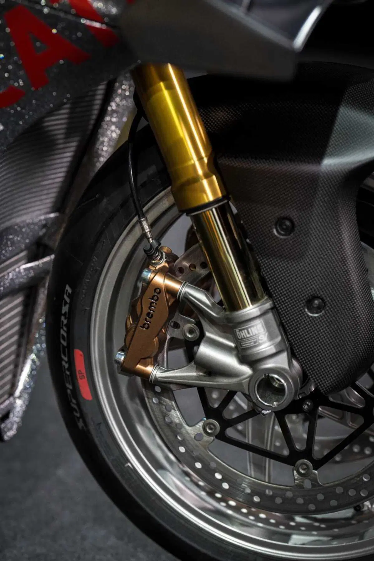 Panigale V4 S 100 (3)