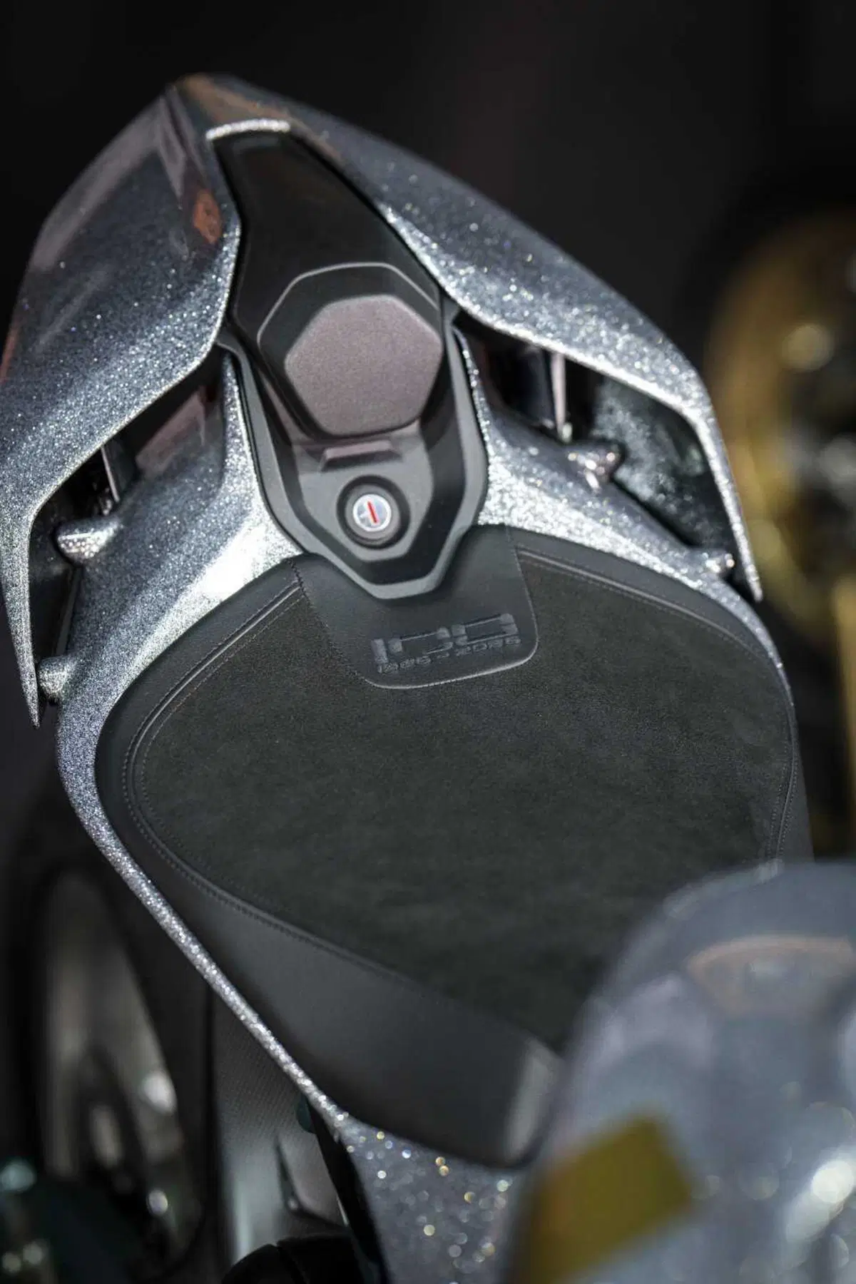 Panigale V4 S 100 (7)