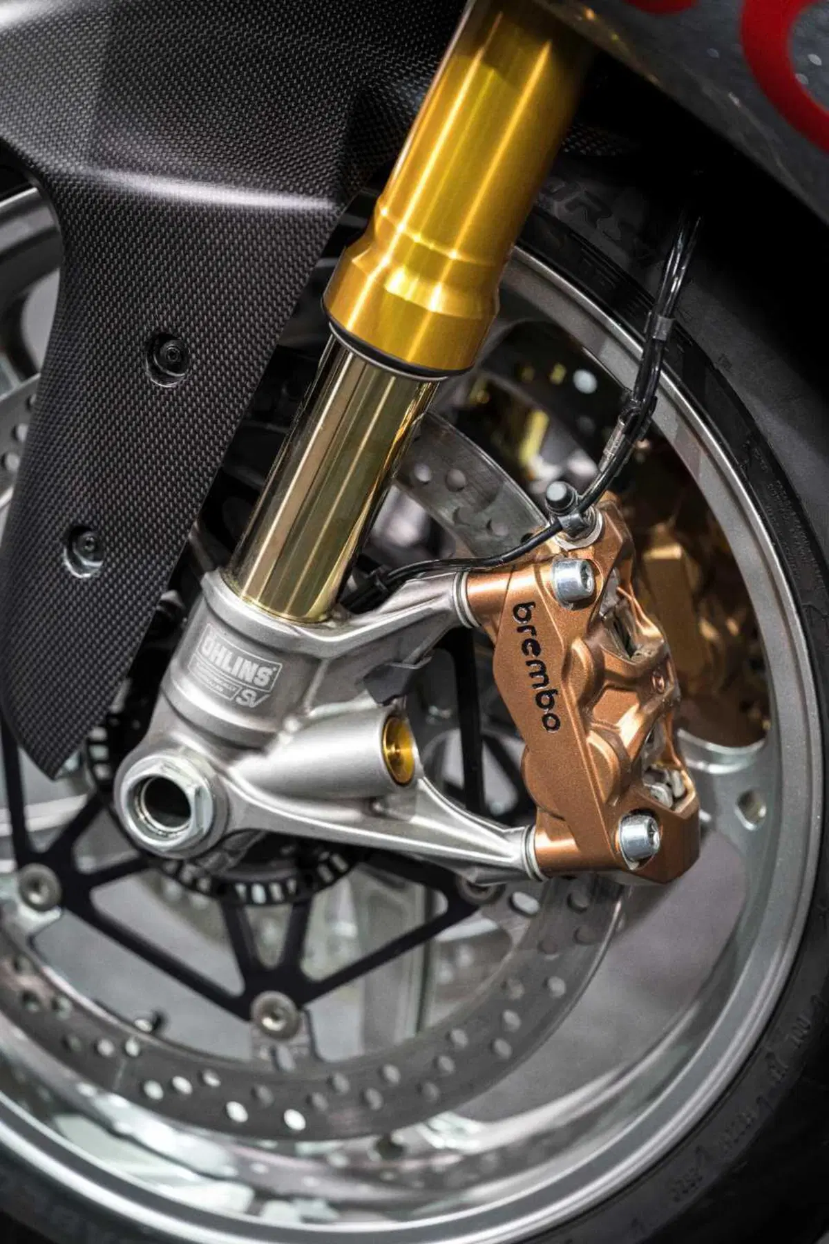 Panigale V4 S 100 (15)