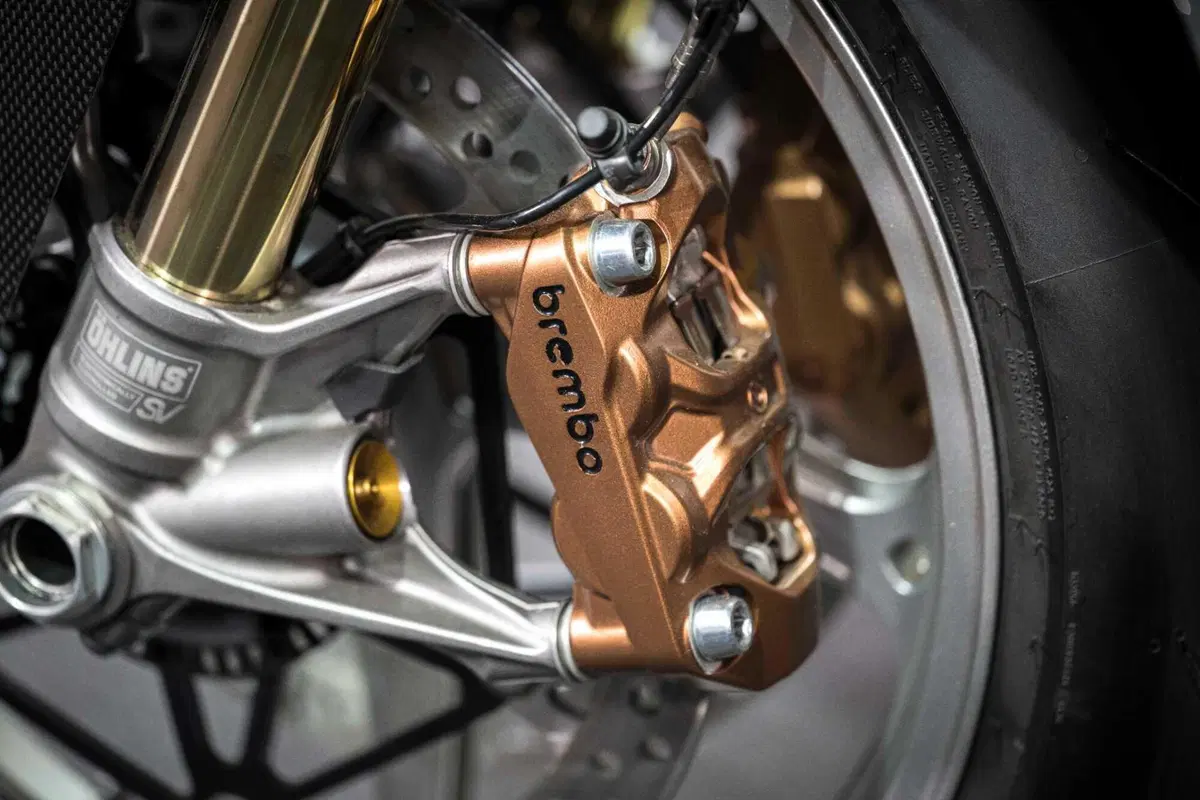 Panigale V4 S 100 (18)