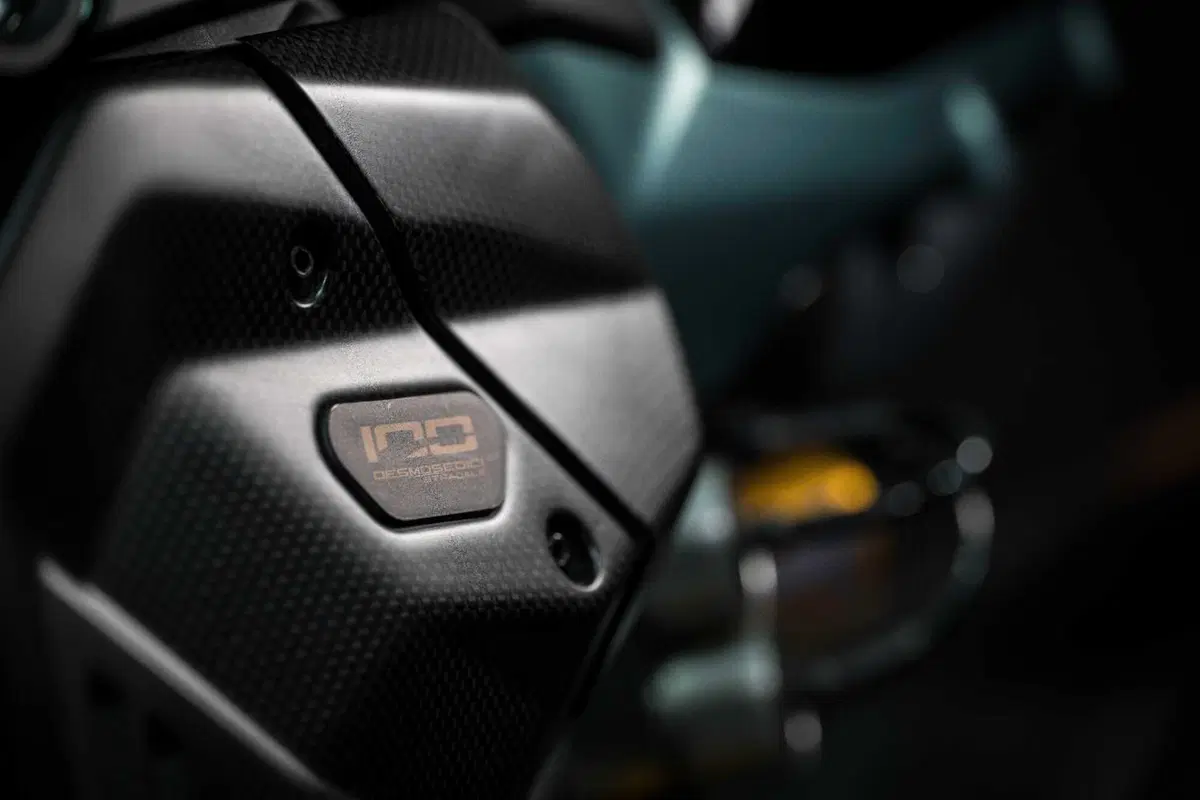 Panigale V4 S 100 (21)