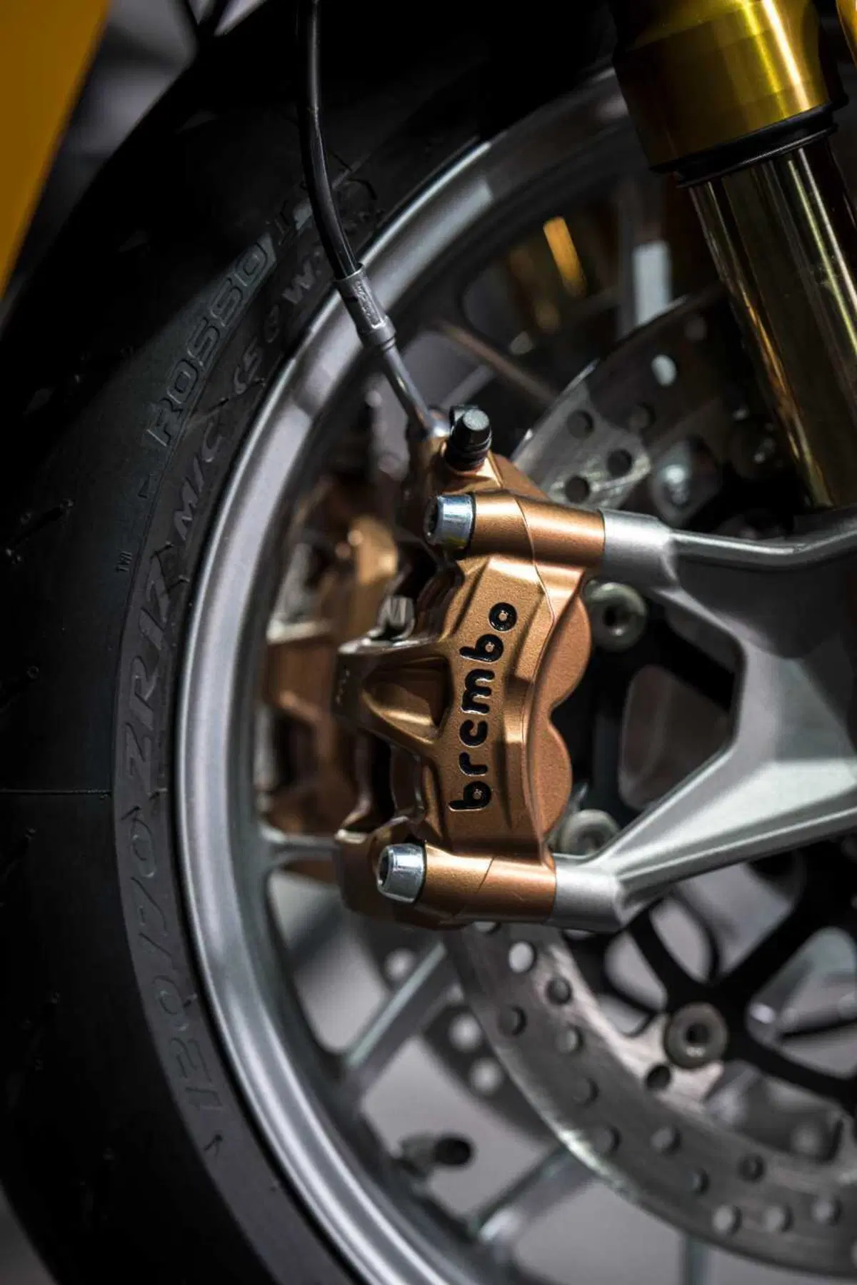 Panigale V2 S 100 (2)