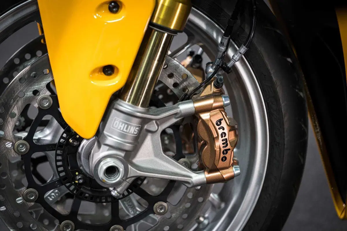 Panigale V2 S 100 (10)