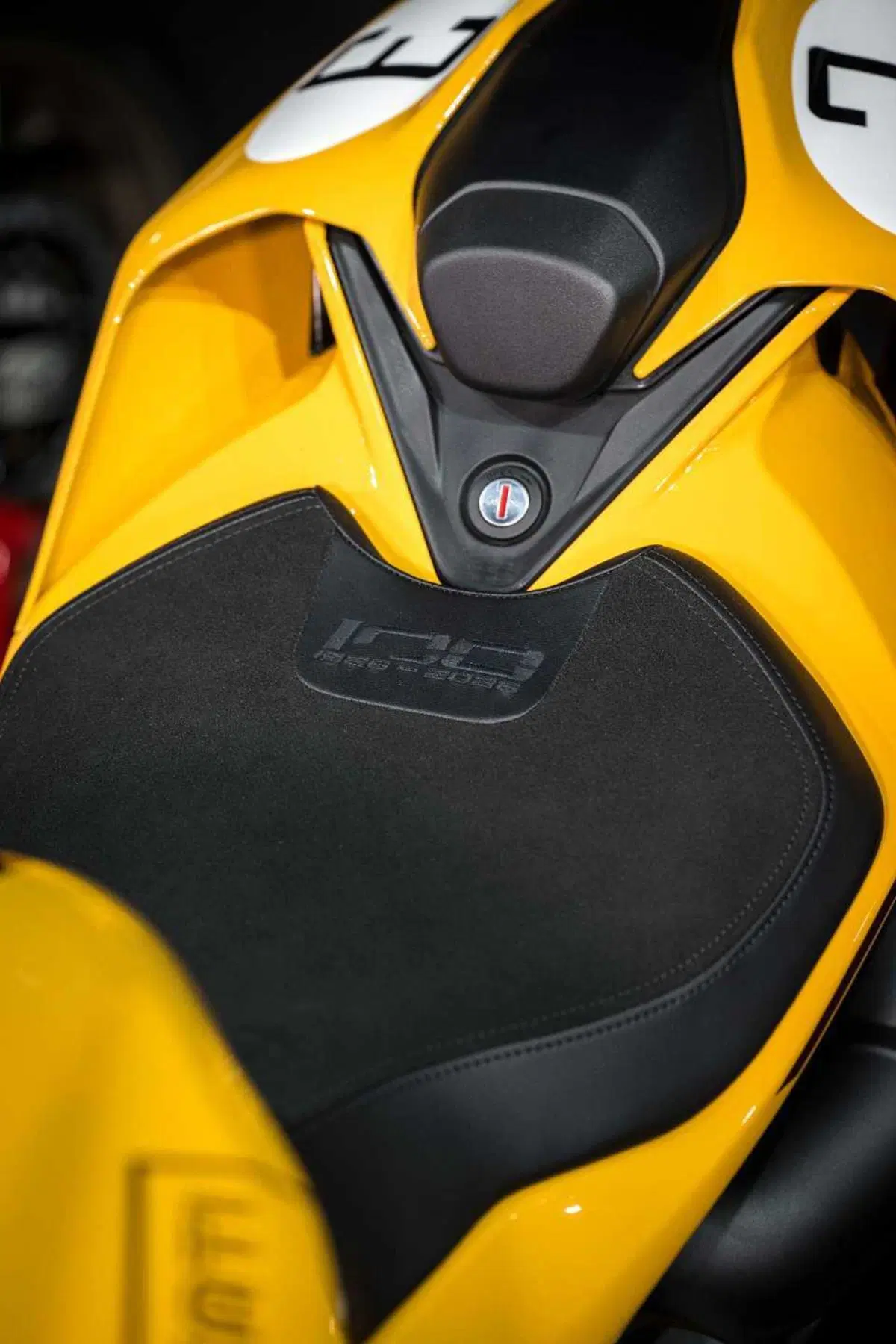 Panigale V2 S 100 (12)
