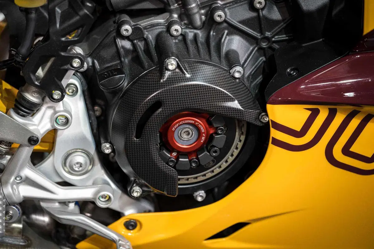 Panigale V2 S 100 (13)