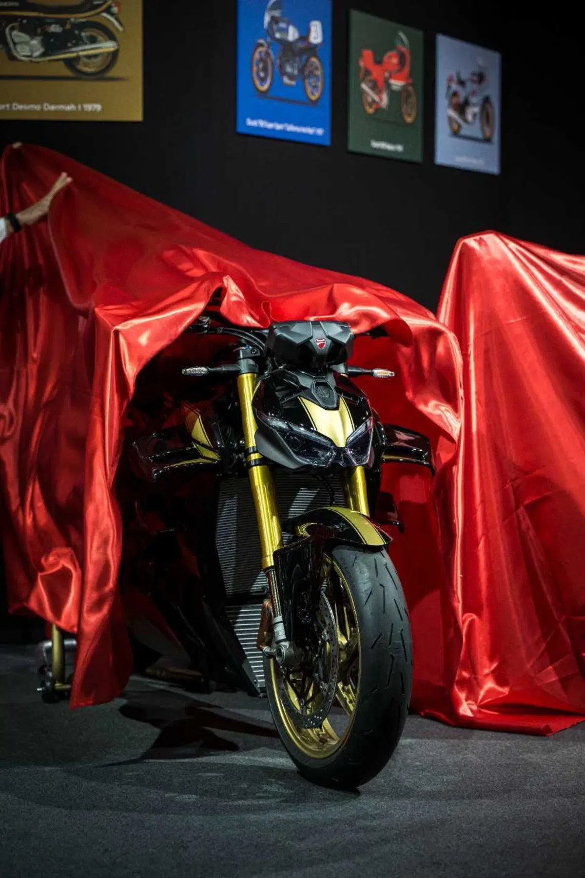 Streetfighter V4 S 100 (2)