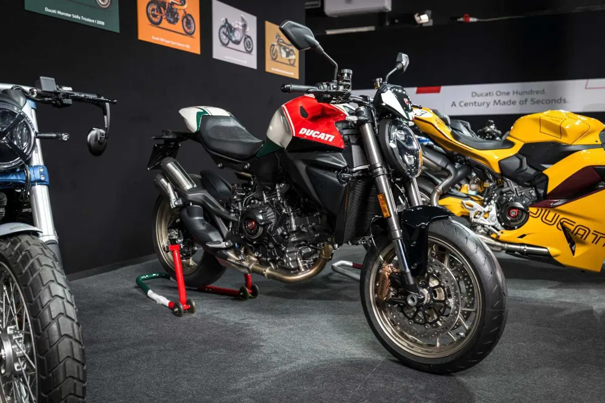 Monster 100 (12)