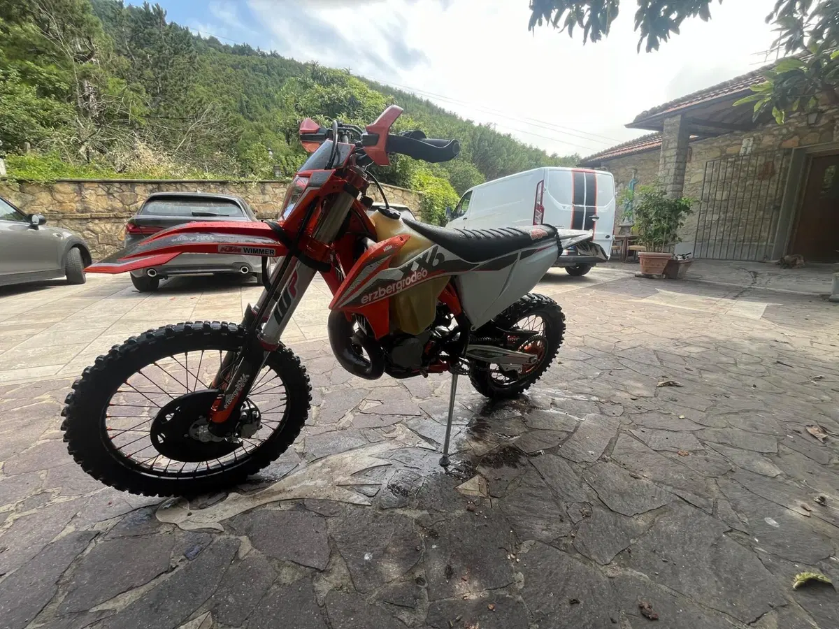 KTM 300 EXC Erzbergrodeo TPI (2021) (3)