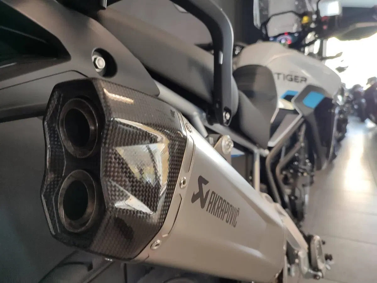 Triumph Tiger 900 Alpine Special Edition (2026) (4)