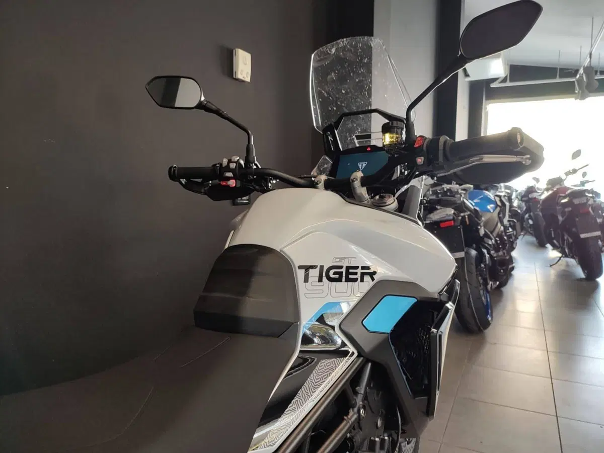 Triumph Tiger 900 Alpine Special Edition (2026) (5)